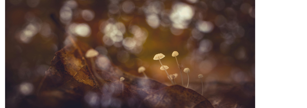 Veränderte Bewusstseinszustände durch Breathwork | kair club