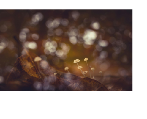 Veränderte Bewusstseinszustände durch Breathwork | kair club