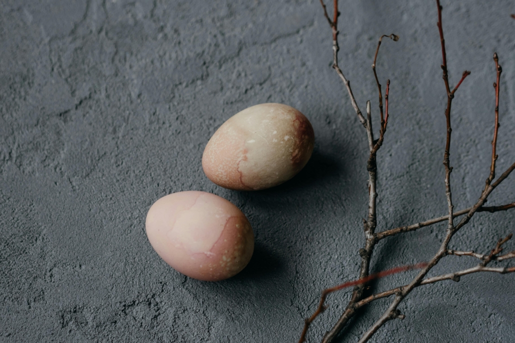 Female Focus | Programm für Zyklusgesundheit